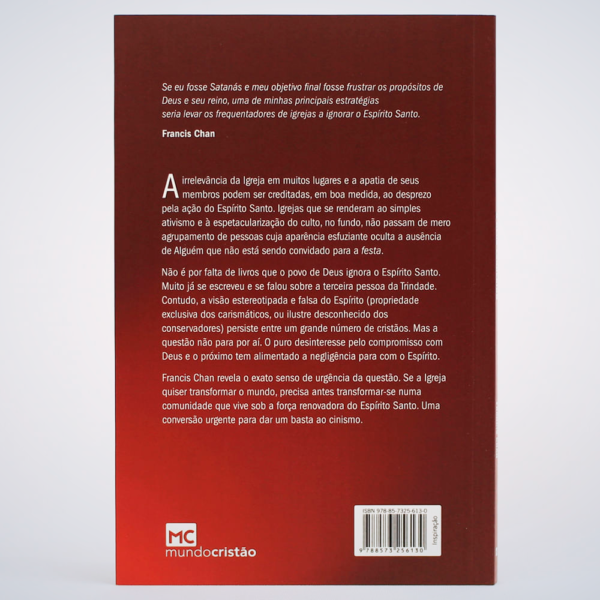 LIVRO DEUS ESQUECIDO O - Image 2