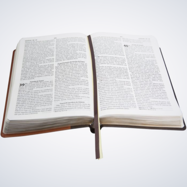 BIBLIA EST DO OBREIRO M?DIA RA S/IND MARRON CL/ESC - Imagem 2