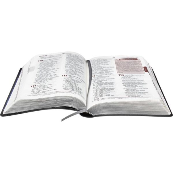 BIBLIA EST PLENITUDE PARA JOVENS S/INDICE CINZA - Image 3