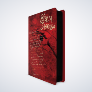 BIBLIA RC LETRA GRANDE CHAGAS DE CRISTO