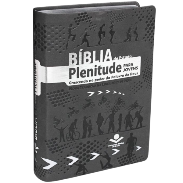 BIBLIA EST PLENITUDE PARA JOVENS S/INDICE CINZA