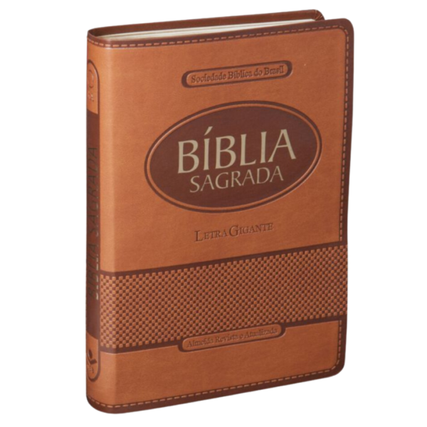 BIBLIA RA L.GIG LUXO COLORIDAS RA65LGI MARRON C/IN