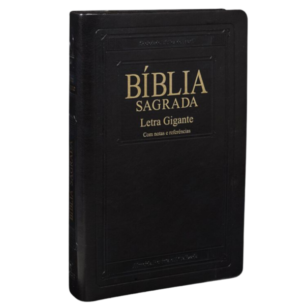 BIBLIA RA L.GIG LUXO COLORIDAS RA65LGI PRETA NOBRE