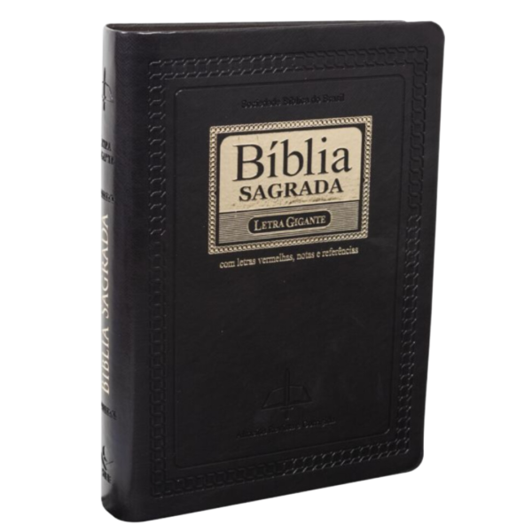 BIBLIA RC L.GIGANTE-LUXO (RC065TILGILV) PRETA NOBR