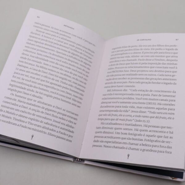 LIVRO METANOIA 21 DIAS DE MENTORIA - Image 4