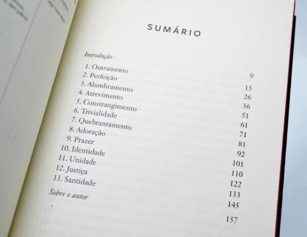 LIVRO SANTIDADE (ED REN? KIVITZ) - Image 3