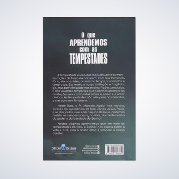 Livro : O Que Aprendemos Com As Tempestades | Marcelo Aguiar - Image 2