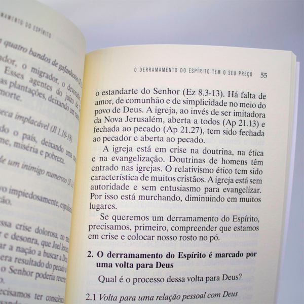 LIVRO DEUS E O DONO DO MEU NEGOCIO - Image 3