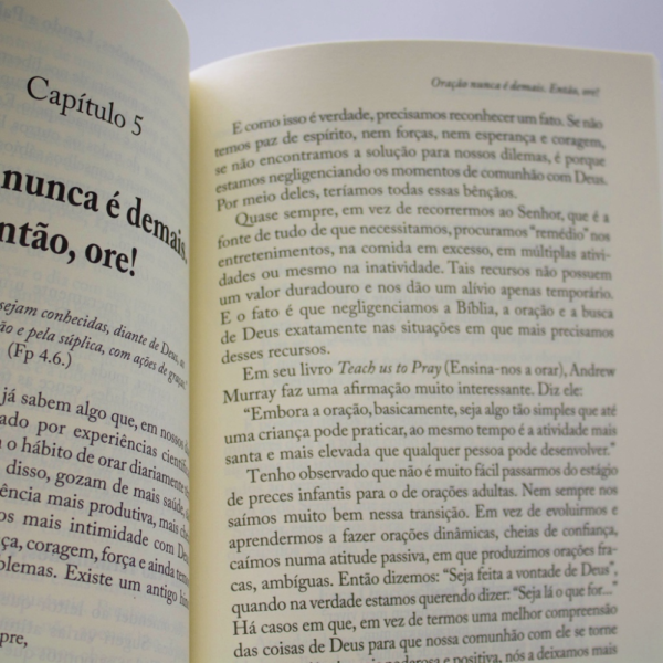 LIVRO PAZ INTERIOR EM TEMPOS DE CRISE - Image 3