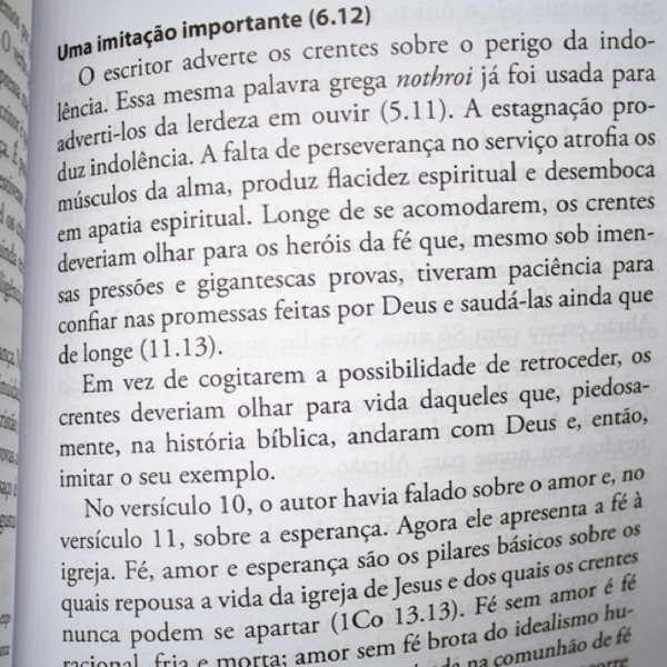 LIVRO IGREJA CORPO VIVO DE CRISTO - Image 3