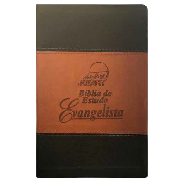 BIBLIA EVANGELISTA VARIADAS KCP01879/2098