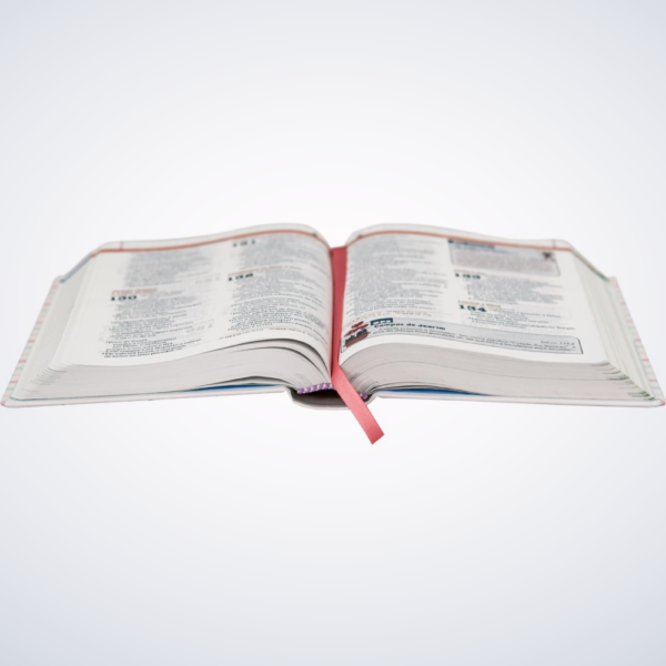 BIBLIA INF SMILINGUIDO EXPLICADA P/CRIANCAS FEMINI - Imagem 4