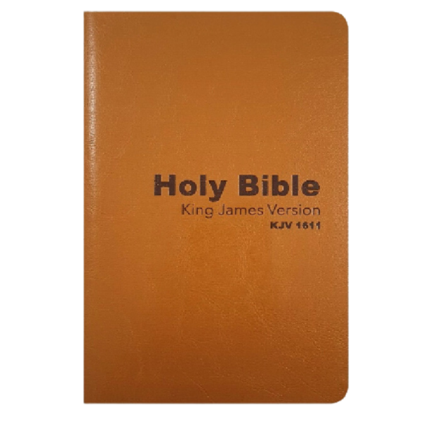 BIBLIA KING JAMES INGLES LUXO ESPECIAL LARANJA