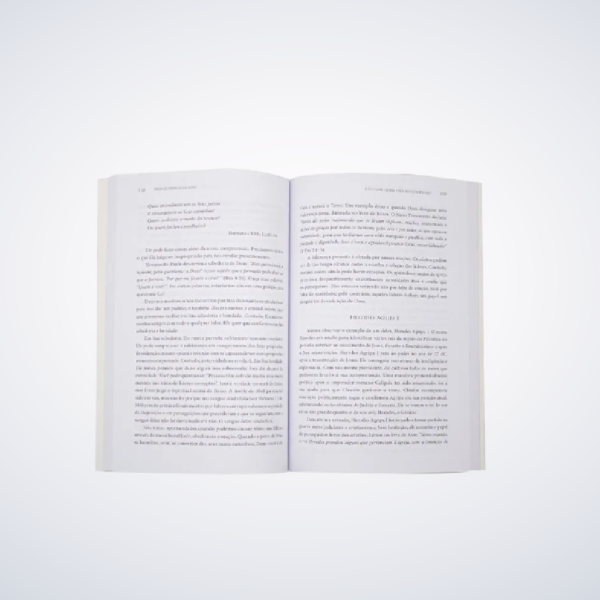Livro Debaixo Das Suas Asas - John Bevere - Imagem 3