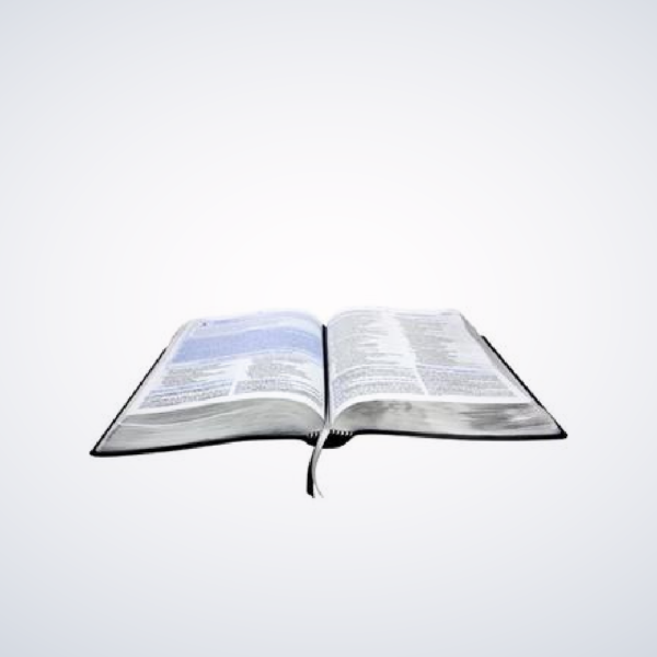 BIBLIA EST DO DISCIPULADO S/INDICE PRETA - Image 2