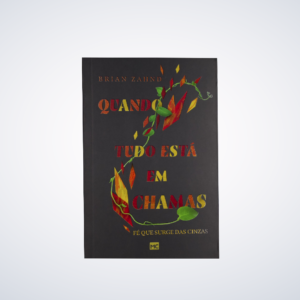 LIVRO QUANDO TUDO ESTA EM CHAMAS-BRIAN ZAHN