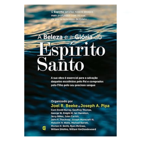 Livro A Beleza E A Glória Do Espírito Santo/ Joel Beeke