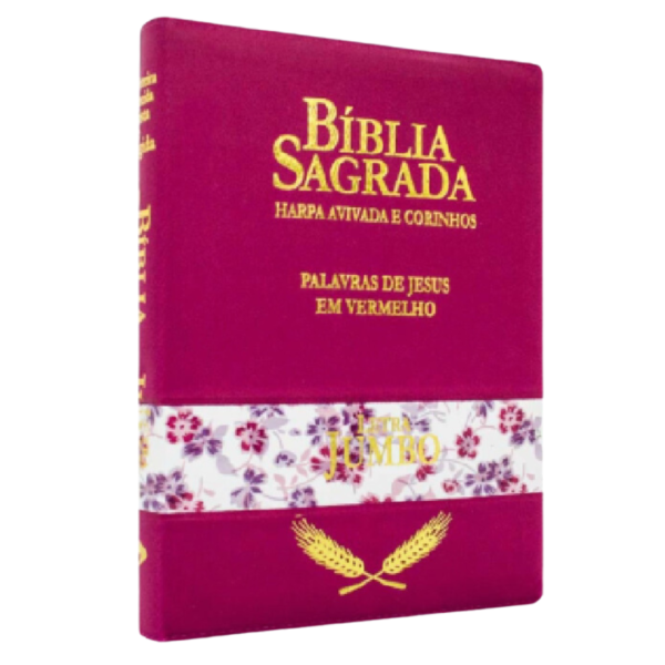 BIBLIA RCH L JUMBO-ZIPER PINK