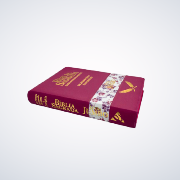 BIBLIA RCH L JUMBO-ZIPER PINK - Image 3