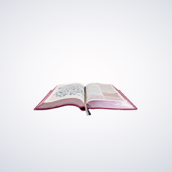 Biblia Estudo Da Mulher Grande S/ Indice Rosa - Image 6