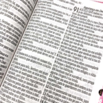 BIBLIA RCH L JUMBO-ZIPER PINK - Image 4
