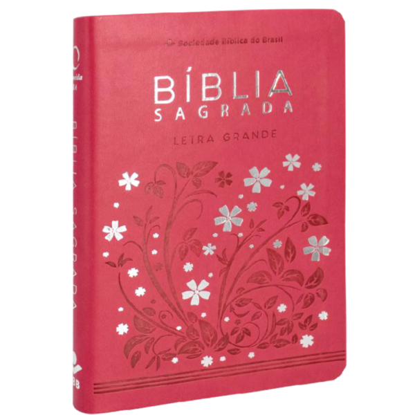 BIBLIA RA-L.GRANDE ARC065LG S/IND CPSINT PINK