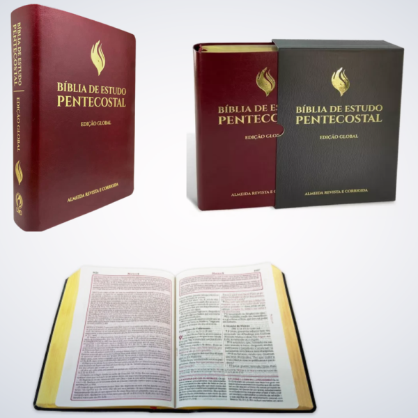 BIBLIA EST PENTECOSTAL GDE S/IND.ED.GLOBAL-VINHO - Image 2