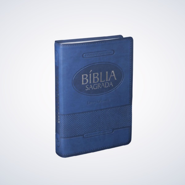 BIBLIA RA L.GIG LUXO COLORIDAS RA65TILG AZUL C/IND