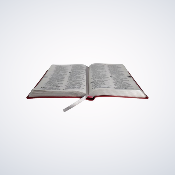 BIBLIA RA-L.GRANDE ARC065LG S/IND CPSINT PINK - Image 2