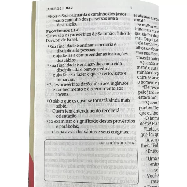 Bíblia 365 para Corajosas (NVT): A palavra de Deus em leituras diárias - Image 4