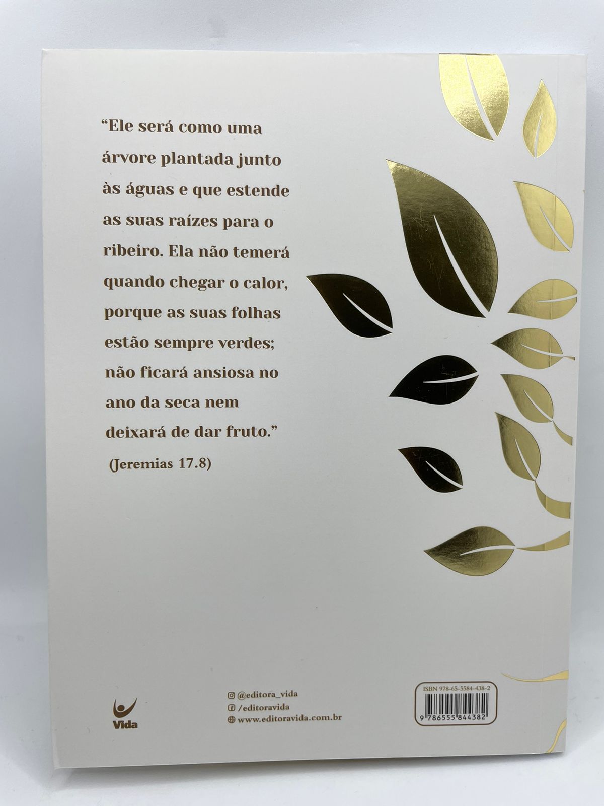 Auxílio ou Empecilho eBook : Jedidias, I.: : Livros