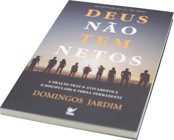 Livro Deus Não Tem Netos - Domingos Jardim - Image 2