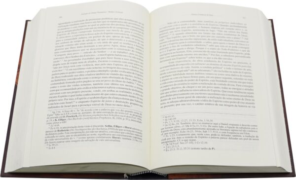 Teologia do Antigo Testamento-Walther Eichrodt - Image 2