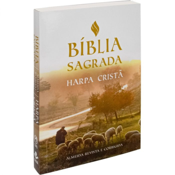 Bíblia Sagrada - Harpa Cristã- Capa Brochura