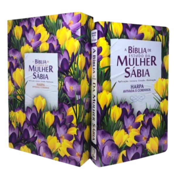 Kit Bíblia De Estudo Da Mulher Sábia+Caixa+Livro Mulheres Da Bíblia