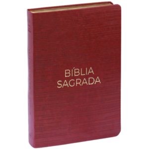 Bíblia Sagrada | NVT | Letra Gigante | Capa Luxo Vermelha