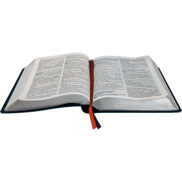 Bíblia De Estudos do Jovem Pregador Pentecostal - Imagem 4