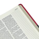Bíblia | Letra Normal | NVI | Espaço Anotações | Capa Vermelha e Cinza - Image 5