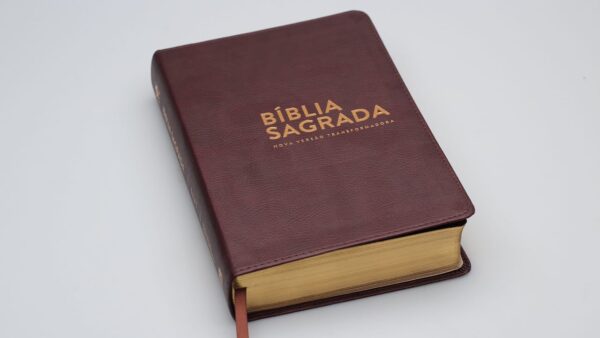 BIBLIA NVT L.NORMAL LUXO MARROM LN - Image 5