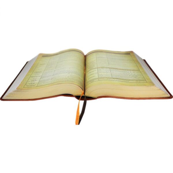 Biblia De Estudo Holman - Couro Sintetico Vinho - Image 4