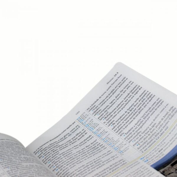 Biblia De Estudo Holman - Couro Sintetico Vinho - Image 3