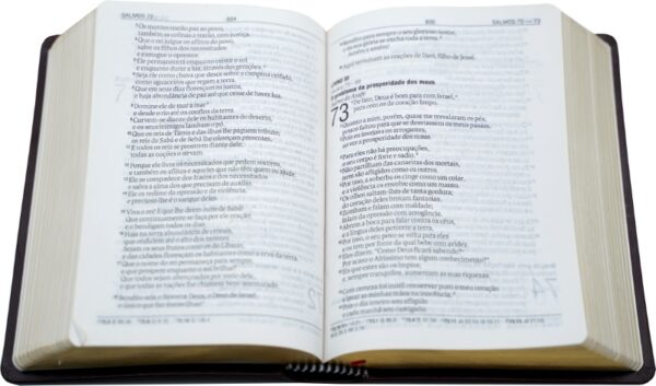 Biblia Sagrada NAA - Capa Lux Letra Gigante - sem índice - Image 3