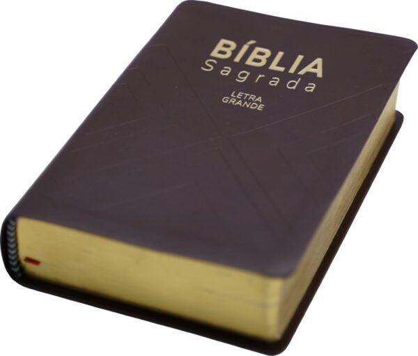 Biblia Sagrada NAA - Capa Lux Letra Gigante - sem índice - Image 2