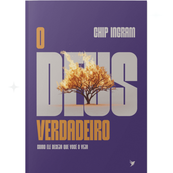 Livro O Deus Verdadeiro/ Chip Ingram