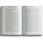 Livro Caledrina Cefyr e a Fonte Perdida/ Gabriela Costa - Image 3