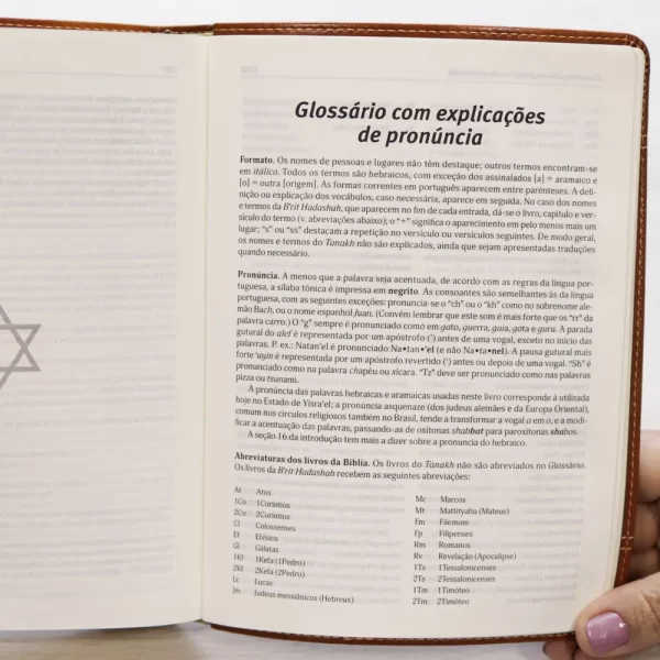 Bíblia Judaica Completa | Capa Luxo Marrom - Image 7