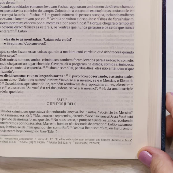 Bíblia Judaica Completa | Letra Normal | Capa Dura - Image 6