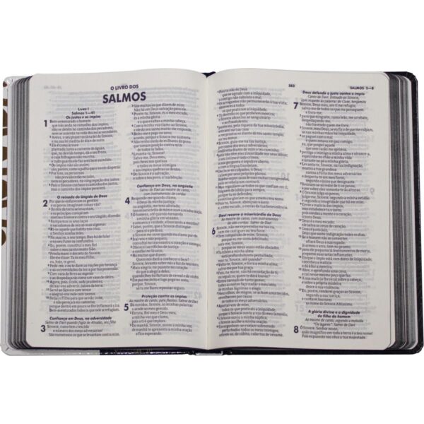 Biblia RA Media Capa Dura Ilustrada Leão - Image 4