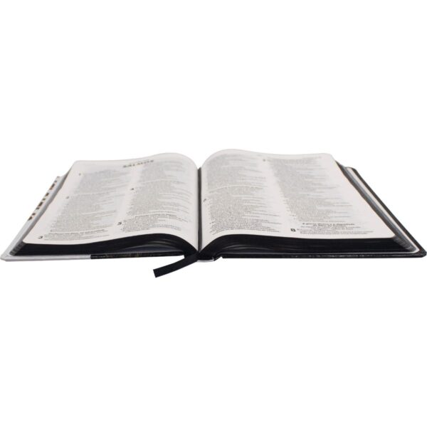 Biblia RA Media Capa Dura Ilustrada Leão - Image 5