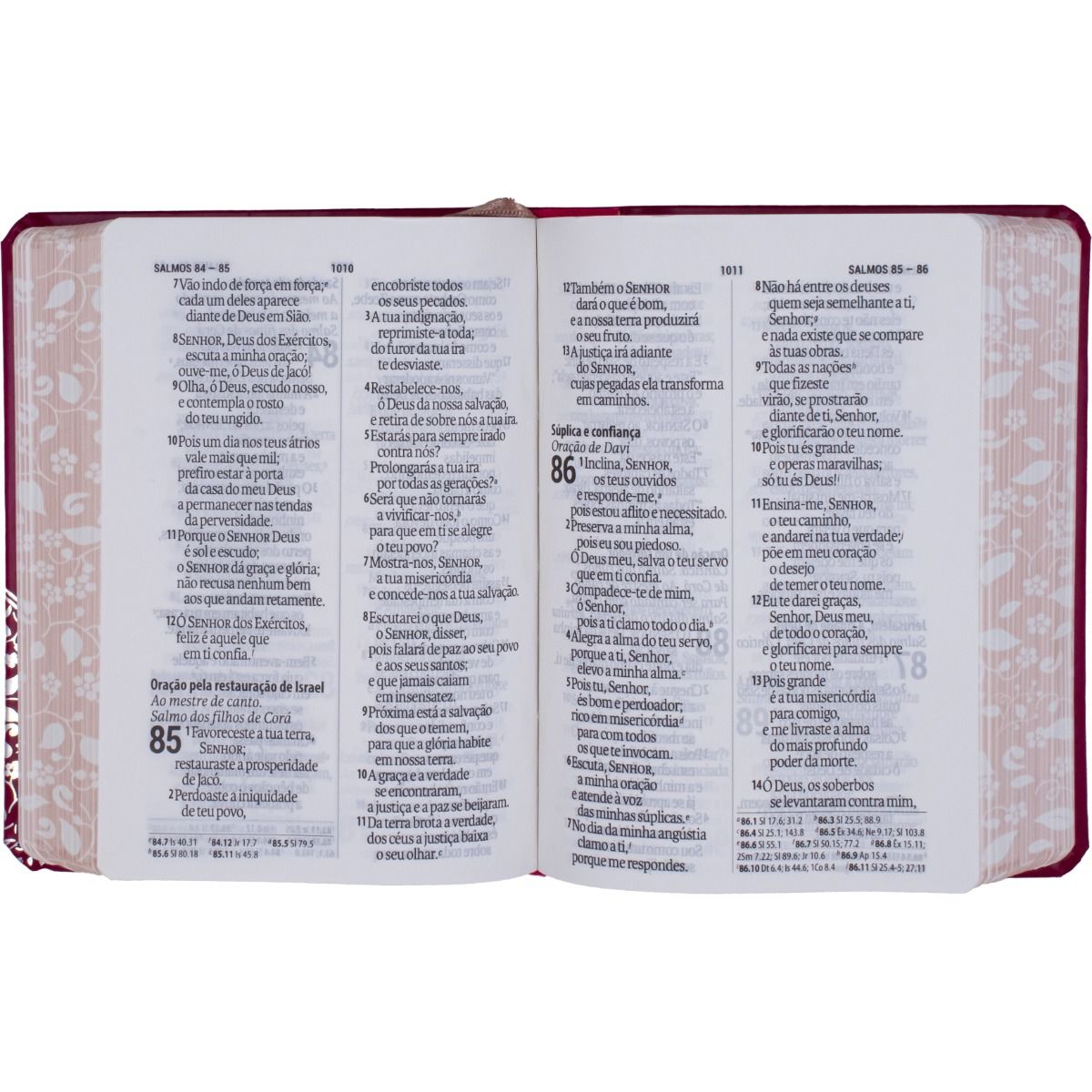 Bíblia Sagrada Tamanho Pequena Letra Gigante Capa Pink - NAA - Imagem 2